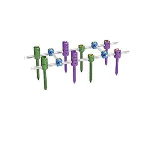 Class III Spine Fixation System CNC Machining Anodizing Processing Color