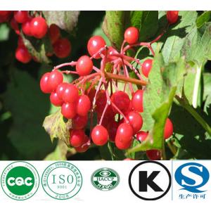 Quality Natural Factory Supply Cranberry Extract for sale