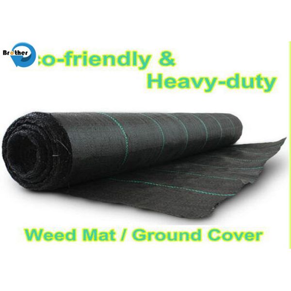 PP Woven Agricultural Ground Cover/Geotextile/Anti Weed Control Fabric