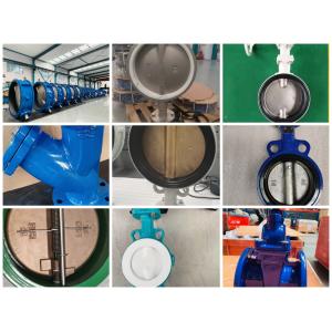 Large size bs en Double Flanged Butterfly Valve