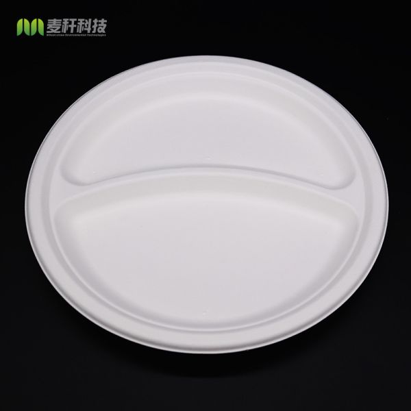 Best Quality Promotional Plates Biodegradable Takeaway Plates Disposable
