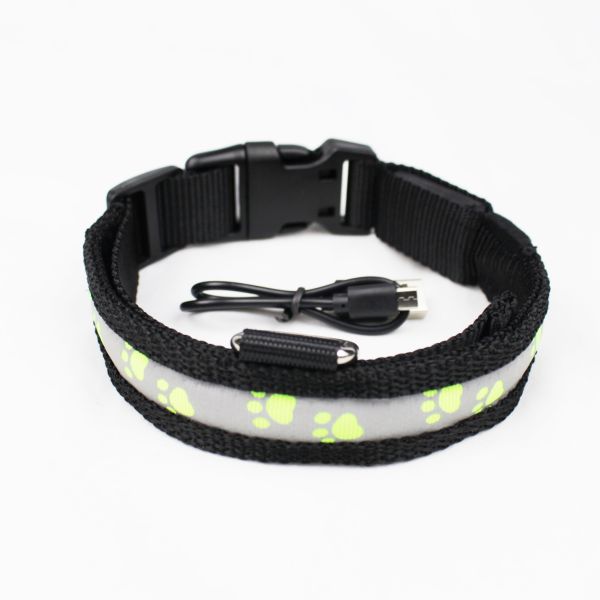 C903 Wholesale Most Welcomed Safety Waterproof Rechargeable Led Luminous Dog Collar