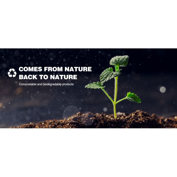 PLA Clear Cups φ90mm 16oz Compostable Cups Environmental Friendly