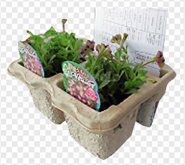 Fully Auto Paper Molded Egg Carton Making Machine Vacuum Suction Forming Type