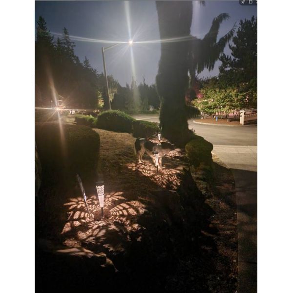Solar Garden Walkway Lights LED Solar Powered Lights 3500K Warm White