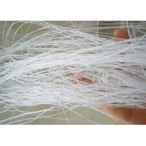 Buy Longkou Mung Bean Glass Noodles Vermicelli HACCP Standard at wholesale prices