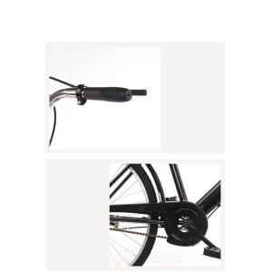 26 Inch Steel City Bikes The Ultimate Combination of Steel and Performance