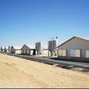 Quick Assembly Lightweight Steel Frame Chicken House Weather Resistant