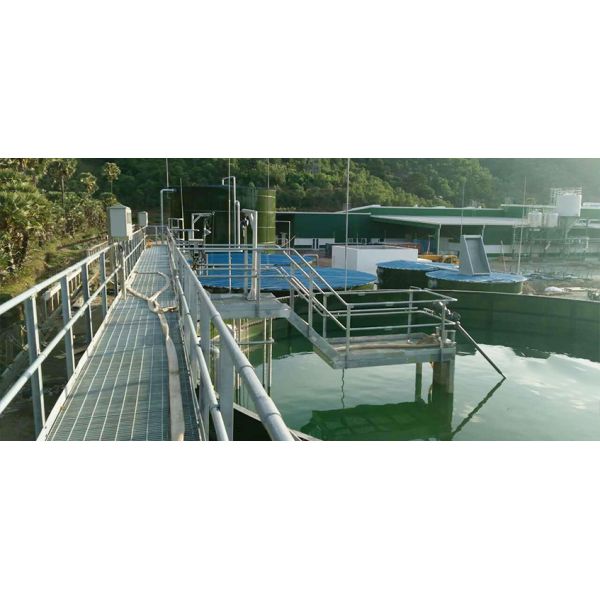 Aquaculture Tanks