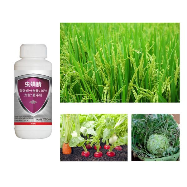 Agrochemicals Natural Vegetable Insecticides chlorfenapyr pesticide SC for Hemiptera Mites