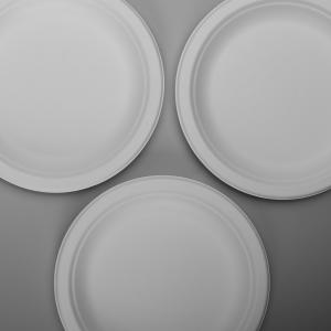 7 Inch 8g Snack Biodegradable Sugarcane Bagasse Plates