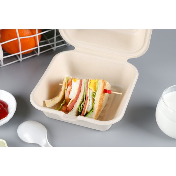 Contenedor Fibra envases Biodegradable Disposable Sugarcane Bagasse Paper Bamboo Hamburger Burger