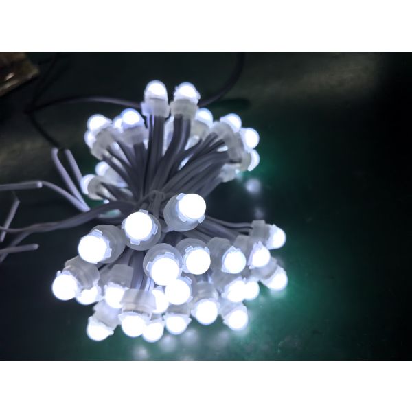 Buy 9 cm PVC Point Lights Colourful LED Source and SPI Control for Landscape Applications at wholesale prices
