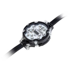 Waterproof LED Pixel Light DC24V 5cm Single Color RGB RGBW For Landscape