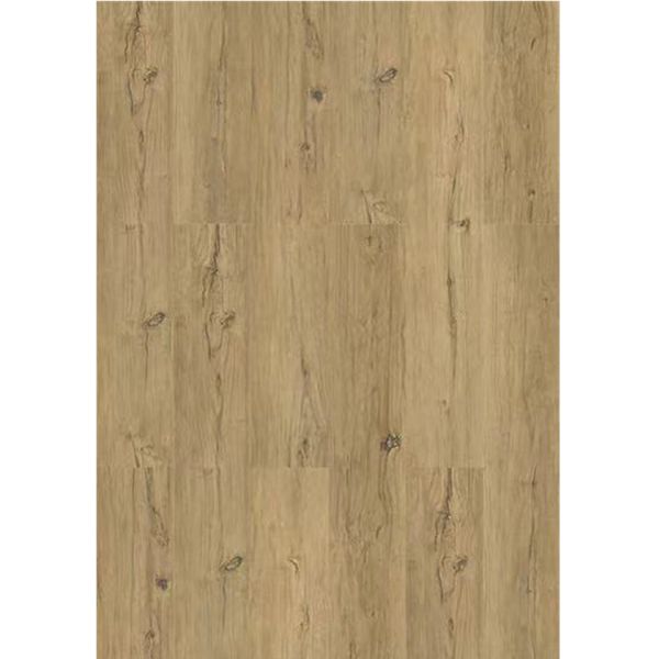 5mm Wood Grain SPC Flooring Unilin Click Beach Sunset Burlywood Eco Friendly GKBM MJ-W6003
