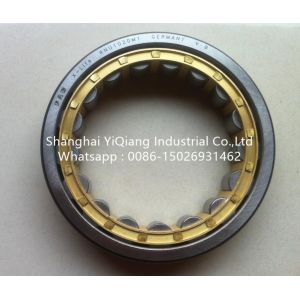 FAG Cylindrical Rolller Bearing RNU1020M1