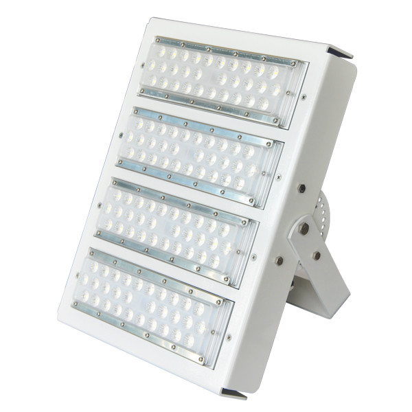 Buy High Efficiency LED Stadium Light ,  160 Lm/ W High Mast LED Flood Light 50W / 100W at wholesale prices