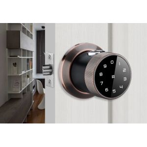 TTLock Electronic Application Remote Control Bluetooth Controlled Lock Cylinder