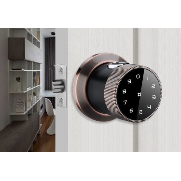 TTLock Electronic Application Remote Control Bluetooth Controlled Lock Cylinder