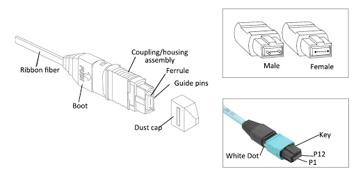 12fo 24fo MM OM3 OM4 50/125 MPO MTP Optical Fibre Patch Cable