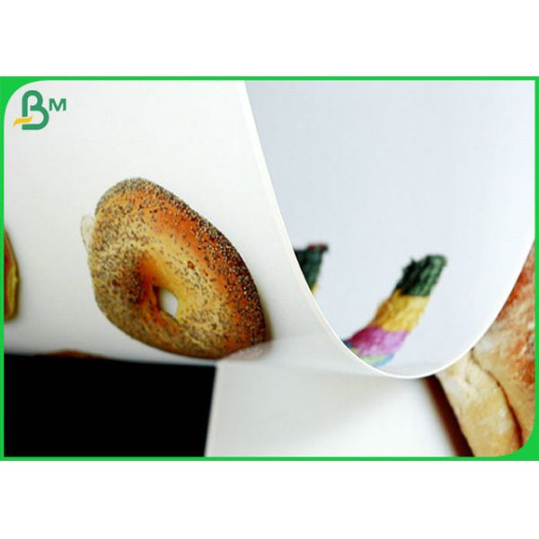 24Inch 230grm Waterproof Inkjet Photo Paper With Good Printing 