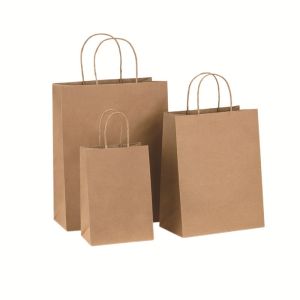Custom Offset Printing Kraft Paper Gift Bag With Twisted Handle