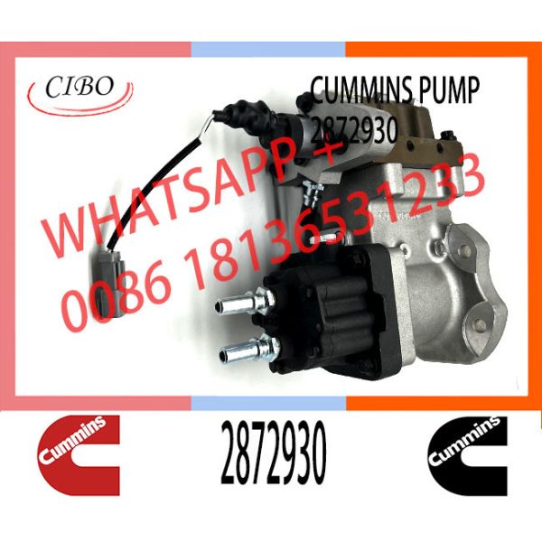 DCEC Cummins ISZ13 QSZ13 Engine Fuel Injection Pump 4384497 2872930