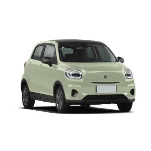 Leapmotor T03 Automobile Electric Suv with 100km/h Max Speed and Left Steering