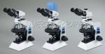 Teaching Polarized Light Microscopy , Scanning Electron Microscope 30° Inclined