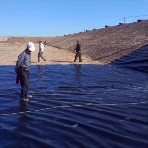 Industrial Design Style 1m-8m Width HDPE Geomembrane at for Industrial