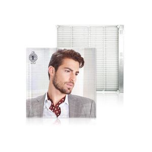 Wafer Chip Transparent LED Screen , Indoor Transparent LED Display