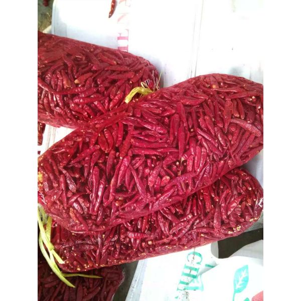 Pungent Cayenne Chilli Pepper Powder 100% Pure 8000SHU KOSHER