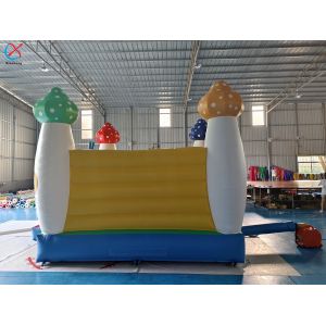 Commercial Inflatable Bouncer Castle Insect Inflatable Bounce House For Fun