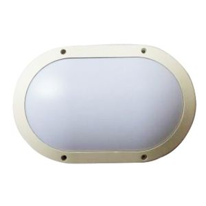 SMD Epistar Ceiling Mount Outdoor LED Wall Light White IK10 IP65 10W 20W 30W