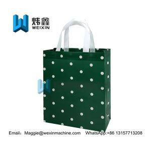 Promotional Foldable Reusable Laminated Non Woven Bag 100gsm