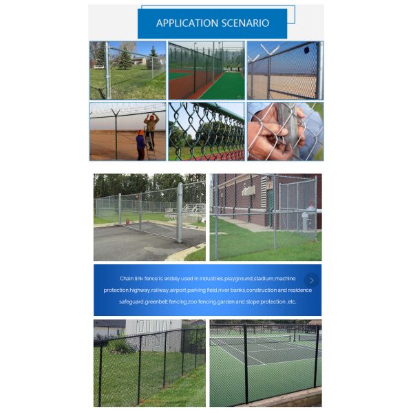 6 Foot Chain Link Wire Mesh Fencing Hot Dip Galvanized Pvc Coated
