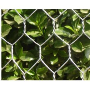 Double Block Hexagonal Gabion Wire Mesh Machine Automatic Heavy Duty