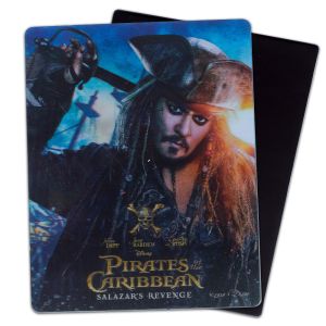 3D Magnets Sealifes Dolphin Shark Turtle Lenticular Printing Card For Gifts