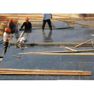 Hardwood Construction External Ply Sheets / First Class Grade Film Faced Marine