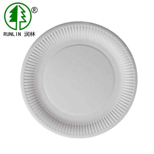 Round Nontoxic Biodegradable Sugarcane Bagasse Plates 6 Inch Round Appetizer
