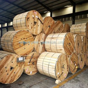 600V Service Drop Cable Duplex AAC ACSR AAAC 6AWG/4AWG/2AWG Material Shape Round