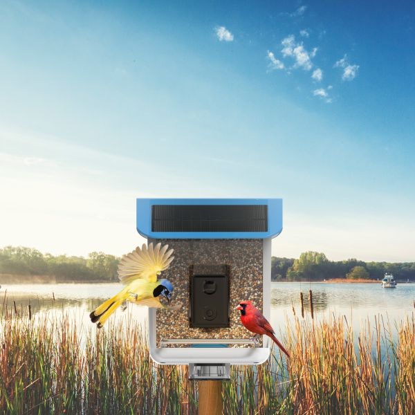 Buy Bird Feeder with Camera,Bird Feeder,Smart Bird Feeder with 64G TF Cards,Camera 1080P HD Video,AI Identify Bird Species at wholesale prices