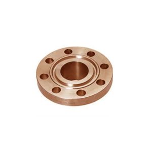 Stainless Steel Flanges Include ANSI B16.5 ASME B16.47 SER.B (API605) ANSI B16.1 BS3293