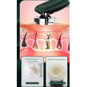 Radio Mesotherapy Skin Rejuvenation Face Massage Electroporation Lifting Beauty