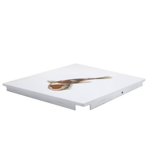 3D Modern Aluminum Artistic Ceiling Tiles With Fish Pattern Customized Size