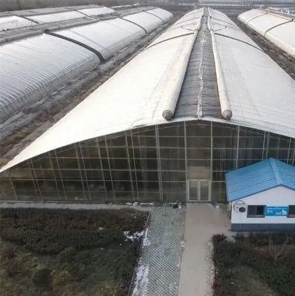 Buy Initial Payment Film or Polycarbonate PC Covered Double Arch Beam Tunnel Greenhouse at wholesale prices