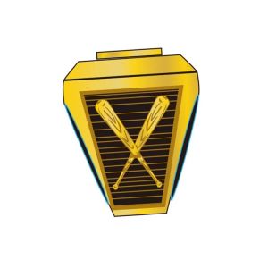 Sport Finalist Youth Baseball Champions Rings