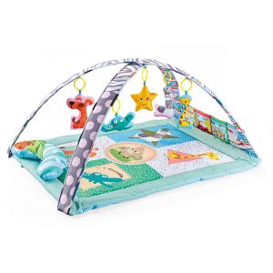 STEM Developmental Play Gym, Sensory Tummy Time Activity Play Mat, Ultra Plush & Machine Washable Playmat for Babies