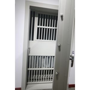 Quality Fingerprint Lock ANSI Standard Wear Resistance Fireproof Vault Door for sale