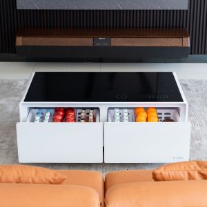 Quality PORTABLE 2024 Primst Smart Refrigerator Coffee Table Mini Fridge Table With Wireless Charging Music Player For Office Hotel for sale